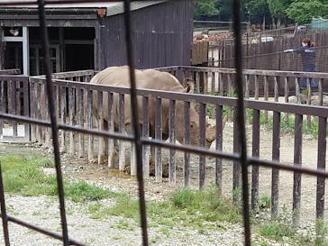 那須サファリパークに投稿された画像（2020/7/14）