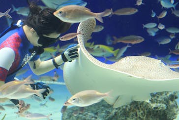 サンシャイン水族館に投稿された画像（2020/7/14）