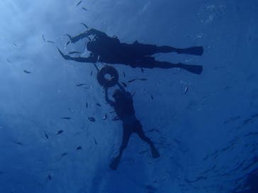 Sea World（シーワールド）に投稿された画像（2020/7/14）