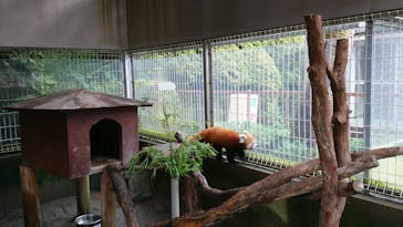 熱川バナナワニ園に投稿された画像（2020/7/14）