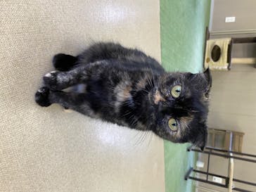 しろとり動物園に投稿された画像（2020/7/15）