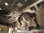国立科学博物館に投稿された画像（2020/7/15）