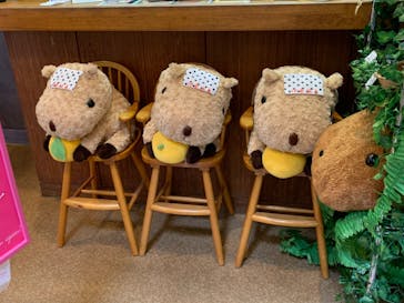 伊豆シャボテン動物公園に投稿された画像（2020/7/15）