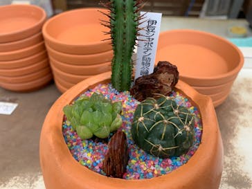 伊豆シャボテン動物公園に投稿された画像（2020/7/15）