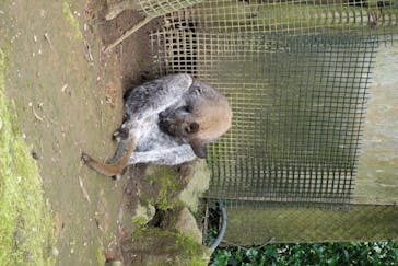 伊豆シャボテン動物公園に投稿された画像（2020/7/15）