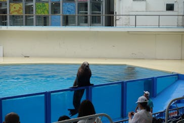 伊豆・三津シーパラダイスに投稿された画像（2020/7/15）