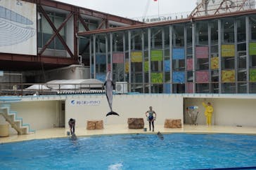 伊豆・三津シーパラダイスに投稿された画像（2020/7/15）