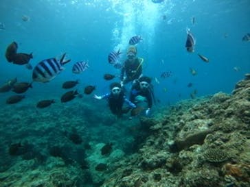 diving&workshop IHANASHI（ダイビングアンドワークショップイハナシ）に投稿された画像（2020/7/16）