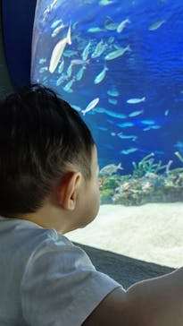 サンシャイン水族館に投稿された画像（2020/7/16）