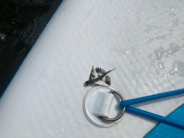 横浜SUP倶楽部に投稿された画像（2020/7/16）