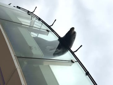 サンシャイン水族館に投稿された画像（2020/7/16）