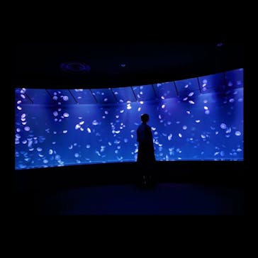 サンシャイン水族館に投稿された画像（2020/7/16）