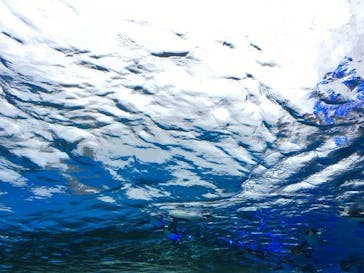 サンシャイン水族館に投稿された画像（2020/7/16）