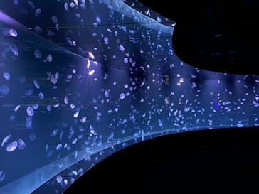 サンシャイン水族館に投稿された画像（2020/7/16）