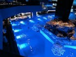 すみだ水族館に投稿された画像（2020/7/17）