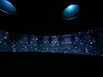 サンシャイン水族館に投稿された画像（2020/7/17）