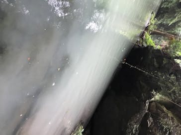 カヌーリゾートたまよどに投稿された画像（2020/7/17）