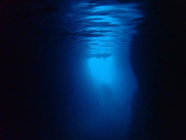 MalDive（モルダイブ）に投稿された画像（2020/7/18）