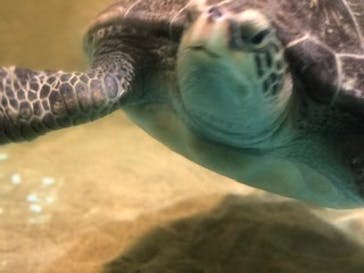 マリンワールド海の中道に投稿された画像（2020/7/18）