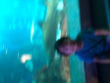 マリンワールド海の中道に投稿された画像（2020/7/18）