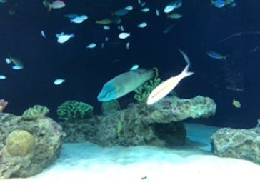 マリンワールド海の中道に投稿された画像（2020/7/18）