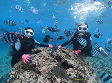 DIVING-SHOP SUNSに投稿された画像（2020/7/18）