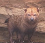 神戸どうぶつ王国に投稿された画像（2020/7/18）