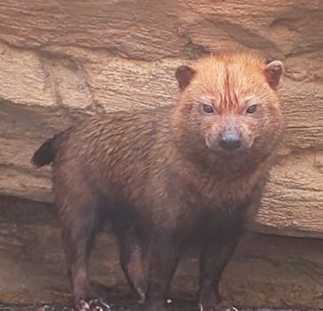 神戸どうぶつ王国に投稿された画像（2020/7/18）