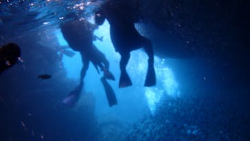 ダイビングショップ Sea Free（シーフリー）に投稿された画像（2020/7/18）