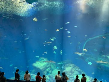 アクアワールド茨城県大洗水族館に投稿された画像（2020/7/18）