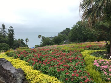 ニューヨークランプミュージアム＆フラワーガーデンに投稿された画像（2020/7/18）