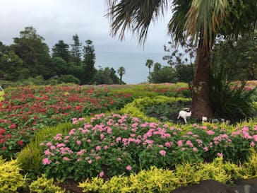 ニューヨークランプミュージアム＆フラワーガーデンに投稿された画像（2020/7/18）