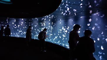 サンシャイン水族館に投稿された画像（2020/7/18）