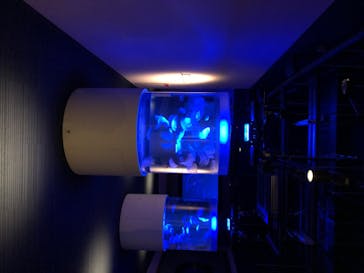 四国水族館に投稿された画像（2020/7/18）