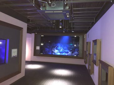 四国水族館に投稿された画像（2020/7/18）