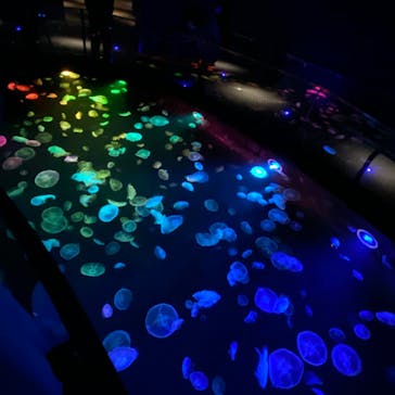 すみだ水族館に投稿された画像（2020/7/18）