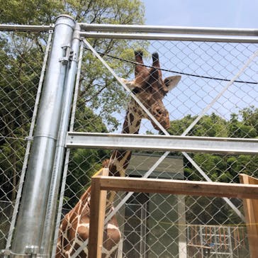 しろとり動物園に投稿された画像（2020/7/18）