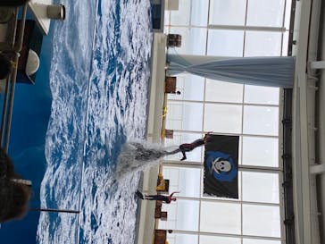 アクアワールド茨城県大洗水族館に投稿された画像（2020/7/18）