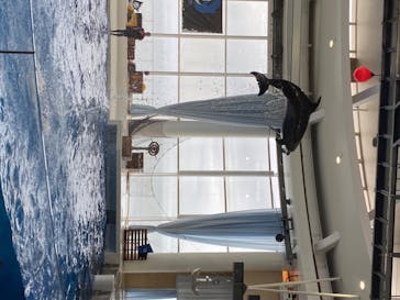 アクアワールド茨城県大洗水族館に投稿された画像（2020/7/18）