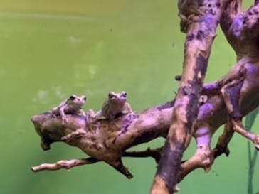 サンシャイン水族館に投稿された画像（2020/7/18）