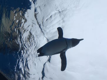 サンシャイン水族館に投稿された画像（2020/7/18）