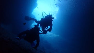 ダイビングショップ Sea Free（シーフリー）に投稿された画像（2020/7/19）