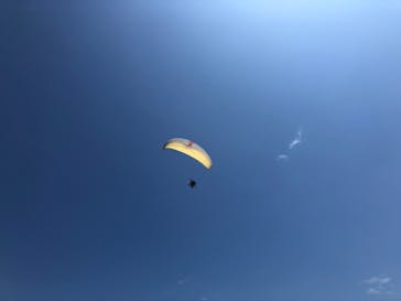 松島熱気球・パラグライダー体験に投稿された画像（2020/7/19）