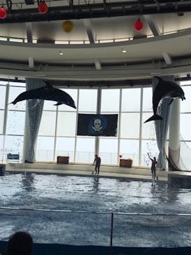 アクアワールド茨城県大洗水族館に投稿された画像（2020/7/19）