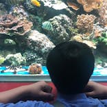 株式会社Gに投稿された画像（2020/7/19）