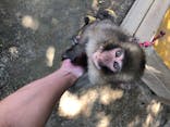 しろとり動物園に投稿された画像（2020/7/19）
