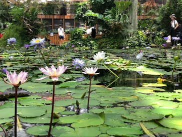 神戸どうぶつ王国に投稿された画像（2020/7/19）