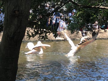 神戸どうぶつ王国に投稿された画像（2020/7/19）