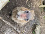 伊豆シャボテン動物公園に投稿された画像（2020/7/19）