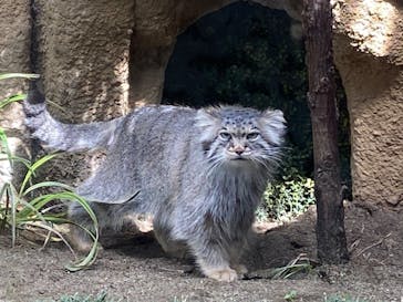 那須どうぶつ王国に投稿された画像（2020/7/19）